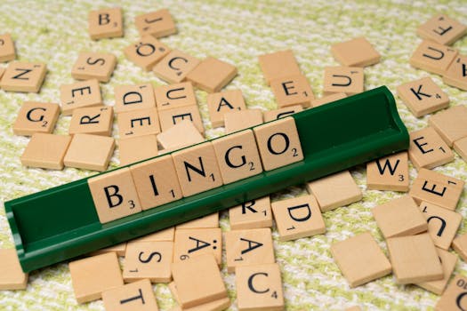From Halls to Home: The Remarkable Digital Transformation of Bingo